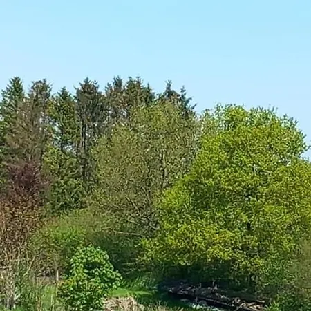 Mitten In Angeln